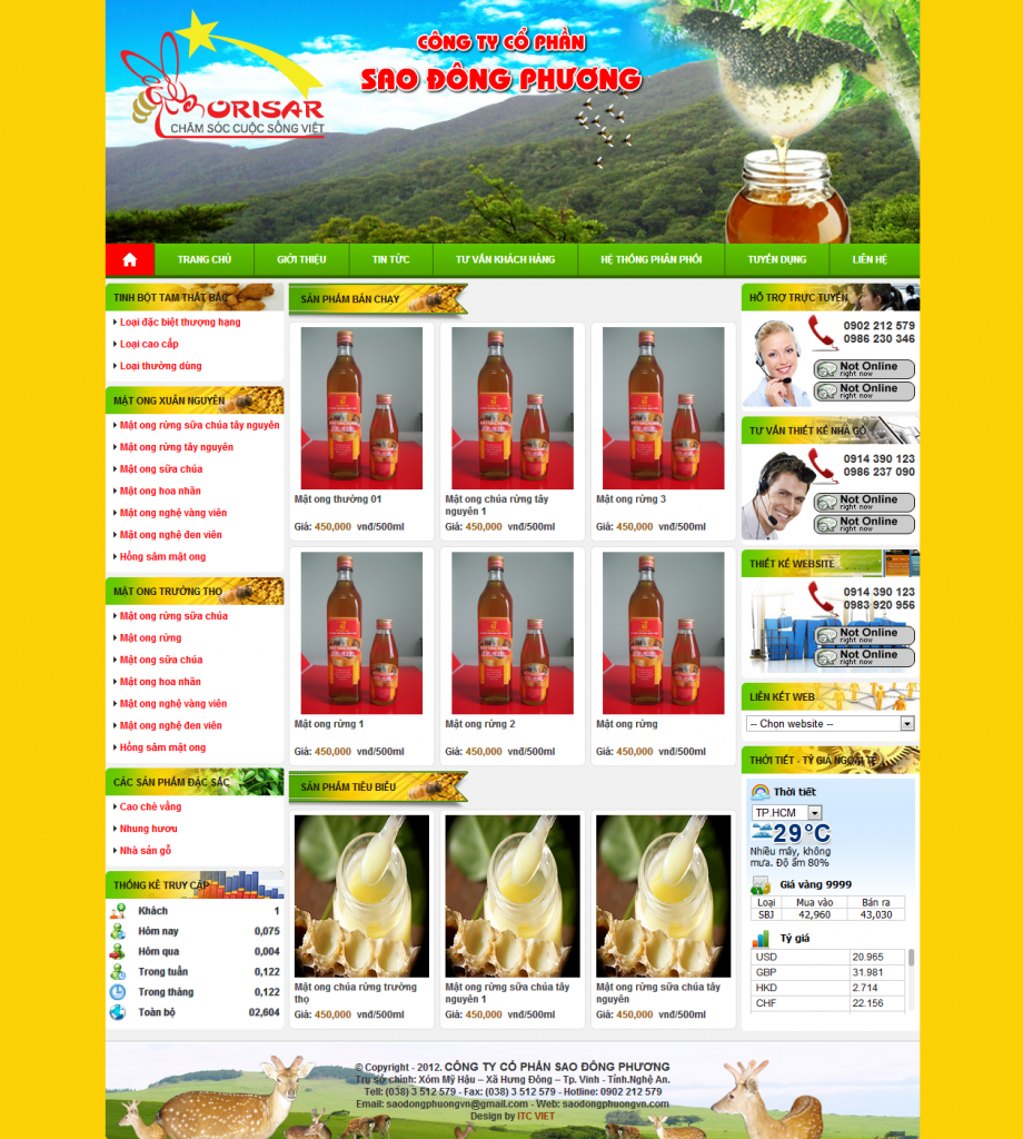 Thiết kế Website tại Vinh Nghệ An Hà Tĩnh