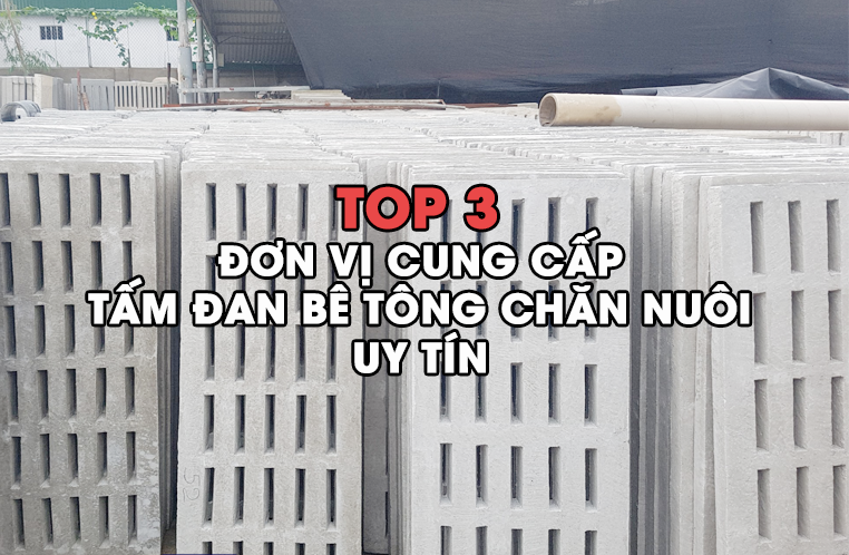Top 3 đơn vị cung cấp tấm đan bê tông chăn nuôi uy tín