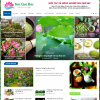 Mẫu website giới thiệu - tin tức